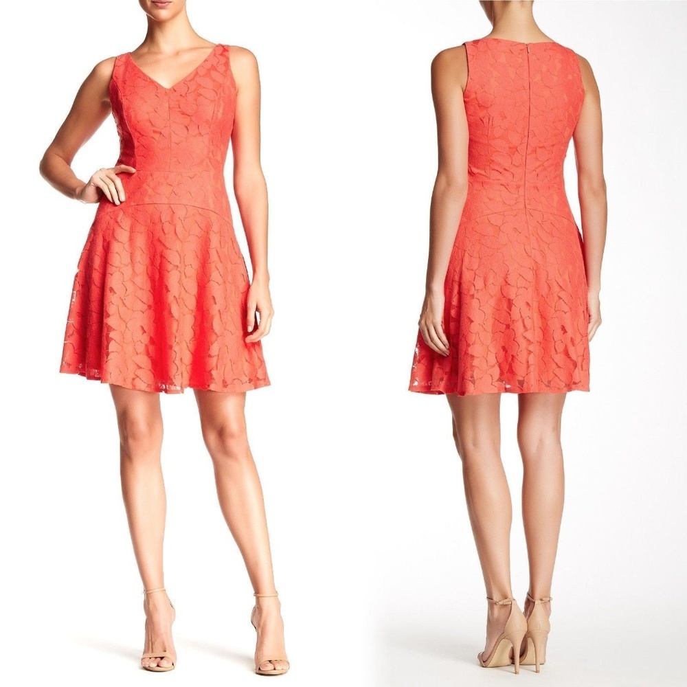 🆕  MAGGY LONDON Summer Dress